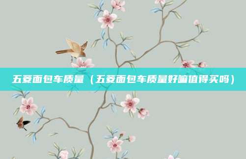 五菱面包车质量（五菱面包车质量好嘛值得买吗）