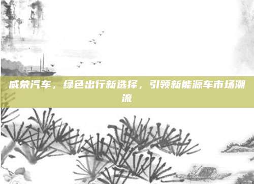 威荣汽车,绿色出行新选择,引领新能源车市场潮流