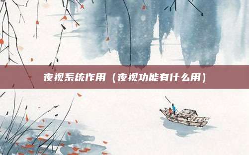 夜视系统作用（夜视功能有什么用）