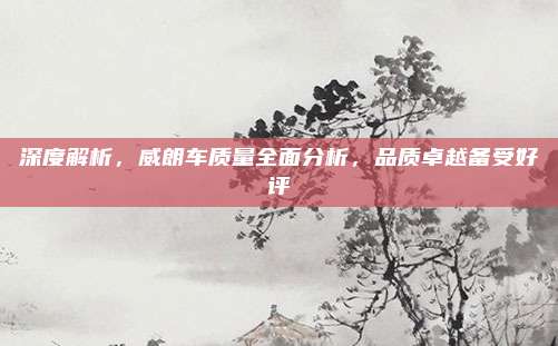 深度解析,威朗车质量全面分析,品质卓越备受好评