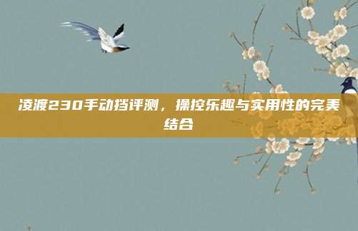 凌渡230手动挡评测,操控乐趣与实用性的完美结合