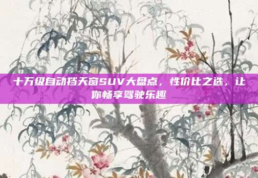 十万级自动挡天窗SUV大盘点,性价比之选,让你畅享驾驶乐趣