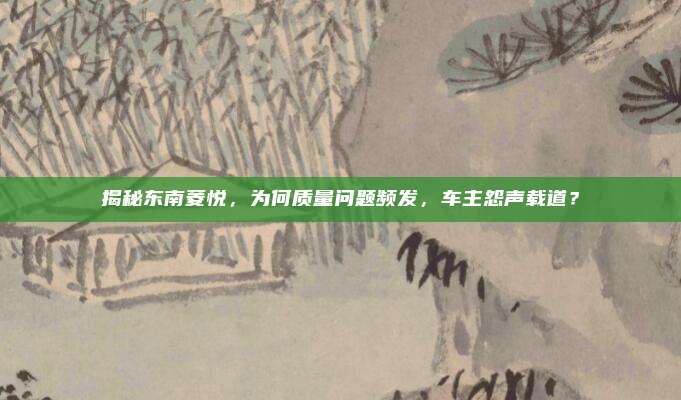 揭秘东南菱悦，为何质量问题频发，车主怨声载道？