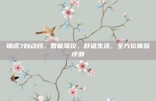 瑞虎7自动挡,智能驾控,舒适生活,全方位体验评测