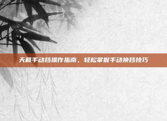 天籁手动挡操作指南,轻松掌握手动换挡技巧