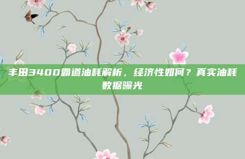 丰田3400霸道油耗解析,经济性如何?真实油耗数据曝光