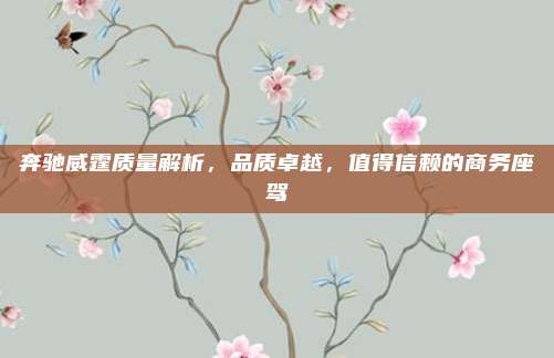 奔驰威霆质量解析,品质卓越,值得信赖的商务座驾