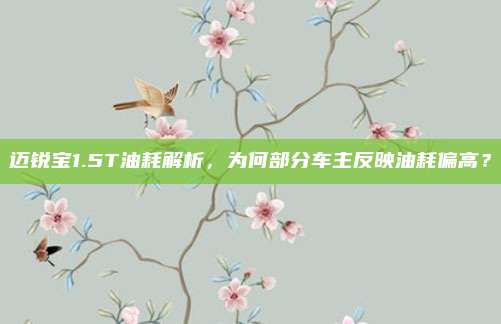 迈锐宝1.5T油耗解析,为何部分车主反映油耗偏高?