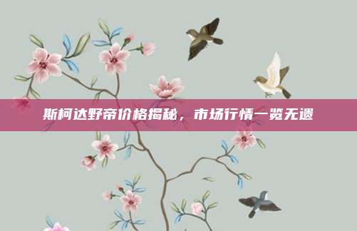 斯柯达野帝价格揭秘,市场行情一览无遗