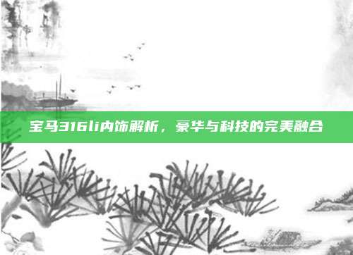 宝马316li内饰解析,豪华与科技的完美融合