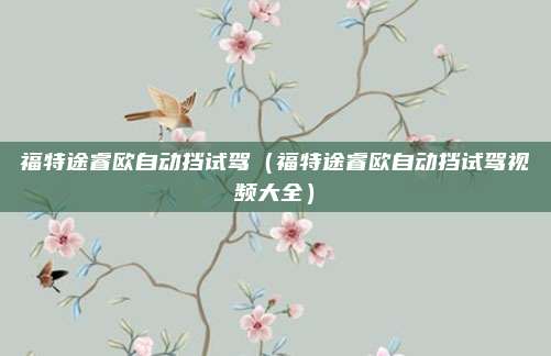 福特途睿欧自动挡试驾（福特途睿欧自动挡试驾视频大全）