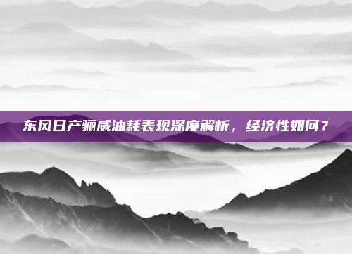 东风日产骊威油耗表现深度解析,经济性如何?
