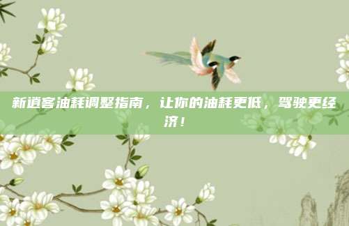 新逍客油耗调整指南,让你的油耗更低,驾驶更经济!
