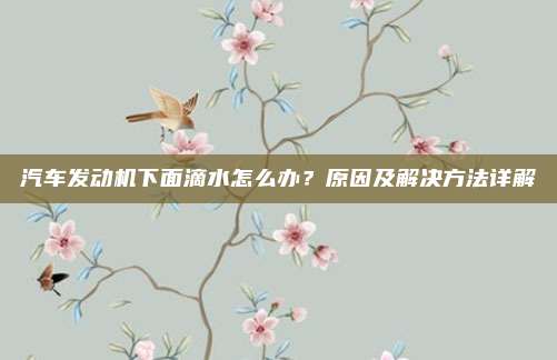 汽车发动机下面滴水怎么办?原因及解决方法详解