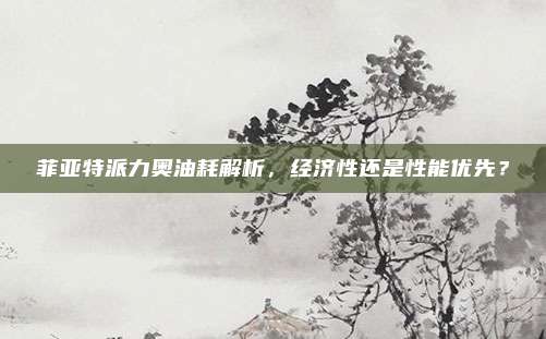 菲亚特派力奥油耗解析,经济性还是性能优先?