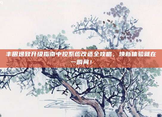 丰田逸致升级指南中控系统改造全攻略,焕新体验就在一瞬间!