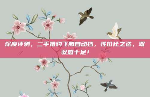 深度评测,二手猎豹飞腾自动挡,性价比之选,驾驭感十足!