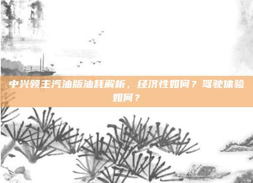 中兴领主汽油版油耗解析,经济性如何?驾驶体验如何?