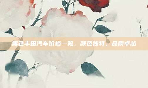 黑色丰田汽车价格一览,颜色独特,品质卓越