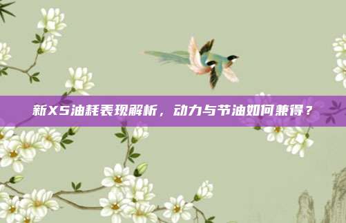 新X5油耗表现解析,动力与节油如何兼得?