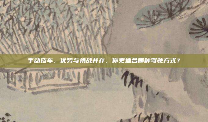 手动挡车,优势与挑战并存,你更适合哪种驾驶方式?