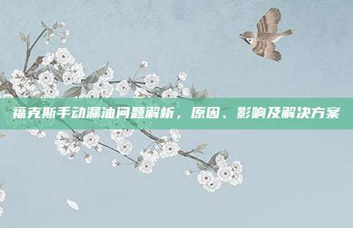 福克斯手动漏油问题解析,原因、影响及解决方案