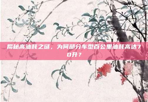 揭秘高油耗之谜,为何部分车型百公里油耗高达70升?