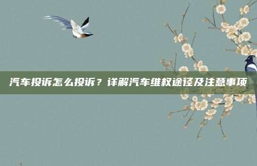 汽车投诉怎么投诉?详解汽车维权途径及注意事项