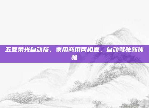 五菱荣光自动挡,家用商用两相宜,自动驾驶新体验