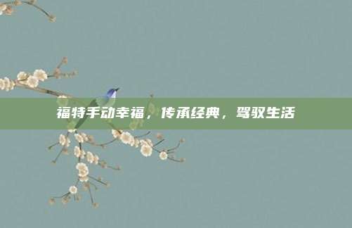 福特手动幸福,传承经典,驾驭生活