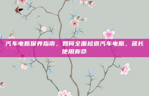 汽车电瓶保养指南,如何全面检查汽车电瓶,延长使用寿命