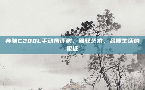 奔驰C200L手动挡评测，驾驭艺术，品质生活的象征