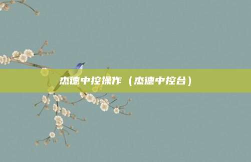 杰德中控操作（杰德中控台）
