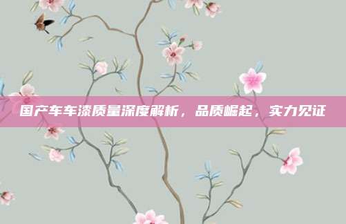 国产车车漆质量深度解析，品质崛起，实力见证