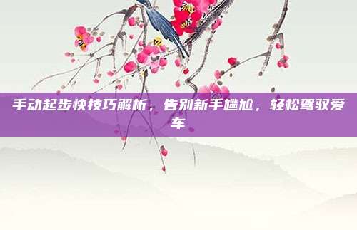 手动起步快技巧解析，告别新手尴尬，轻松驾驭爱车