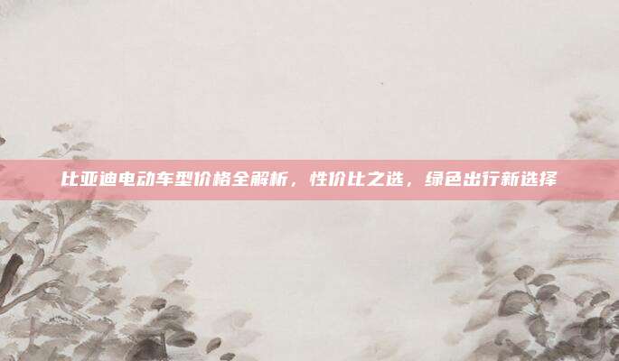 比亚迪电动车型价格全解析,性价比之选,绿色出行新选择