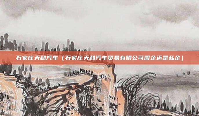 石家庄天和汽车（石家庄天和汽车贸易有限公司国企还是私企）