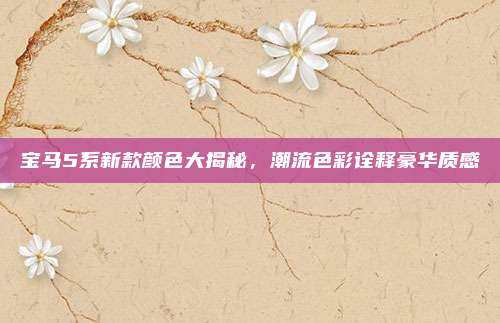 宝马5系新款颜色大揭秘,潮流色彩诠释豪华质感
