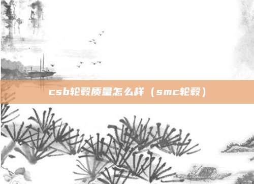 csb轮毂质量怎么样（smc轮毂）