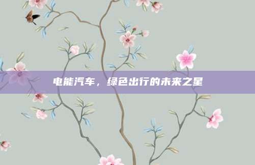 电能汽车,绿色出行的未来之星