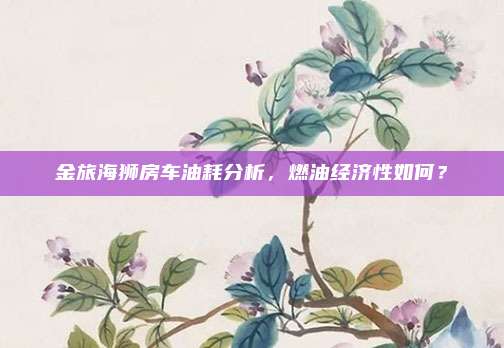 金旅海狮房车油耗分析,燃油经济性如何?