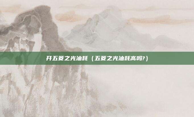 开五菱之光油耗（五菱之光油耗高吗?）