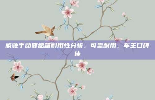 威驰手动变速箱耐用性分析,可靠耐用,车主口碑佳