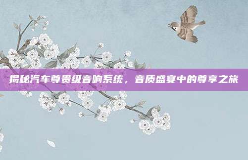 揭秘汽车尊贵级音响系统,音质盛宴中的尊享之旅