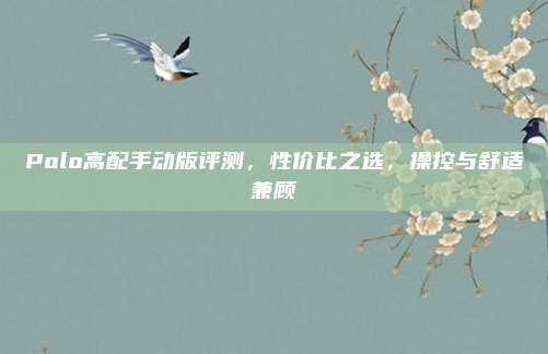 Polo高配手动版评测，性价比之选，操控与舒适兼顾
