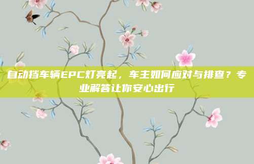 自动挡车辆EPC灯亮起，车主如何应对与排查？专业解答让你安心出行