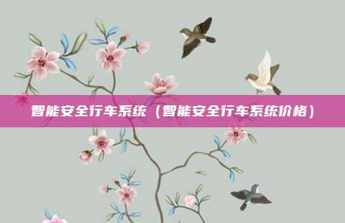智能安全行车系统（智能安全行车系统价格）