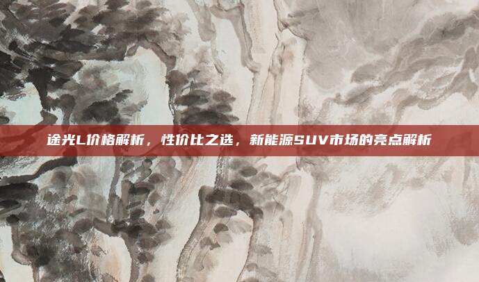 途光L价格解析,性价比之选,新能源SUV市场的亮点解析
