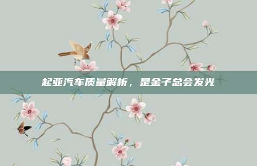 起亚汽车质量解析,是金子总会发光