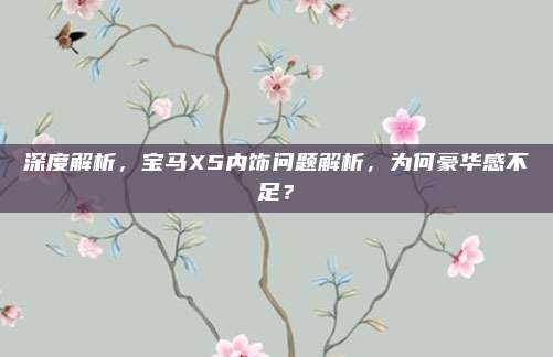 深度解析,宝马X5内饰问题解析,为何豪华感不足?